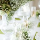 전주봄피부과의원 이미지