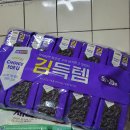 골든라이언 이미지