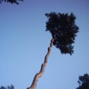 김홍도미술관 화장실 이미지