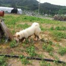 구안 이미지