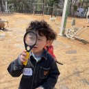 금배로 | 금배근린공원 유아숲 체험원, 이로운하루 형제 숲체험