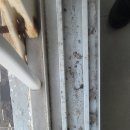 우남샘물타운 이미지