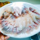 삼천포회센타 이미지