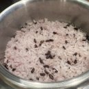 돼지삼겹 | 내돈내산] 회사 동료와 다녀온 광화문역 솥밥 맛집 '서당골 광화문점' 돼지불백 & 삼겹수육 정식 리얼 후기