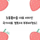 비타민태권도 이미지