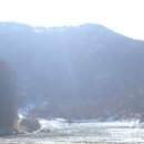 금산-54 이미지