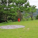 더 포레스트 이미지