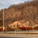 통일동산(4) 갈대광장 이미지