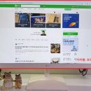 베젤랩스 네이버블로그