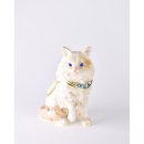 블루아이즈캣 이미지