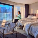 와이식당 | 부산 해운대 가성비 호텔 가족 숙소 추천｜와이컬렉션 해운대비치 후기