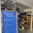 노랑머리과일 | 세부 3일차 치안이 안좋아서 후기도 얼마 없는 카본마켓에 가다 🤿 한바다 호핑투어 카본마켓 파크몰 짝퉁몰