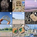 스테이 바미 이미지