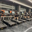 팀JJ피트니스옥계점 이미지