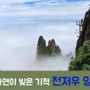(주)브이아이피여행사