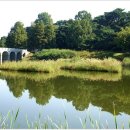 평화대공원 이미지