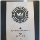 해피애견타운 분당판교점 | 친구의 첫 반려견! 해피애견타운 분당판교점에서 분당강아지분양 받았습니다~