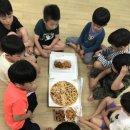 용인대 한겨레 태권도 이미지