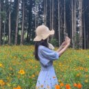 더블라썸 이미지