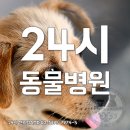 다가온동물병원 이미지