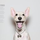 아지야스튜디오 이미지