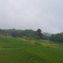 (주)노블리아 네이버블로그