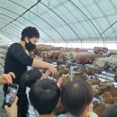 트리플협동조합 이미지