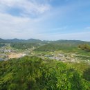 재부이삼회 철마 한우축제 이미지