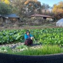 [사마리아전도대]하산전,율동 지역전도 (2024.11.06 수) 이미지