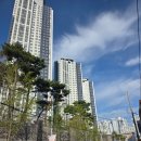 지에스25 광안자이점 | 부산 수영구 임장 후기｜남천동·광안동·민락동 벚꽃임장