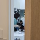 투투 동물병원 이미지