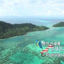 반가 우
