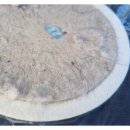 배산제일1차아파트 이미지