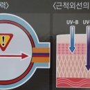 굿채널안경 신대점 이미지