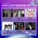 비바시너지