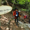 해남군-16 이미지