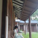 오늘도묘한밤 | 전주 한옥숙소 1인실도 있는 오늘도묘한밤 혼자여행 후기