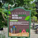 월악산국립공원 닷돈재자동차야영장 이미지