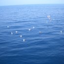 태조민박 이미지