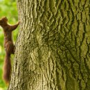 제일안과의원 이미지