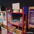 비트코인동전노래연습장 이미지