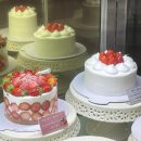 맛있는세상 | ෆ 둔산동 케이크 맛집, 맛있는 케이크 세상 <리얼케익> 둔산점 솔직후기