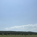 헬스버스 이미지