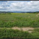 경주시강동면왕신보건진료소 이미지