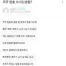 카페이스터에그 이미지