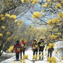 맛길따라 이미지