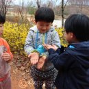 천안 아이숲유치원 충남신문