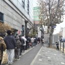 종합과일 | 대전 성심당 케익부띠끄 방문 후기,말차시루 & 종합과일시루 솔직 내돈내산 줄서서 구매한 리뷰