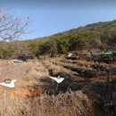 구산면540 이미지