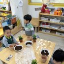 삼정초병설유치원 이미지